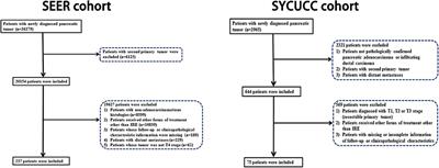 A Novel Prediction Tool Based on Large Cohorts to Determine the Cancer-Specific Survival Probability of Patients With Locally Advanced Pancreatic Cancer After Irreversible Electroporation Treatment